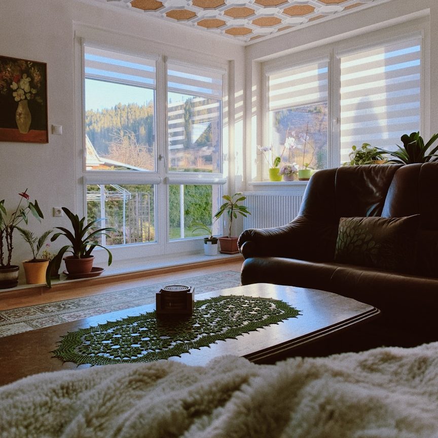 Salon lumineux avec des plantes, un canapé et une vue sur la nature à l'extérieur. Salon lumineux avec des plantes, un canapé et une vue sur la nature à l'extérieur.