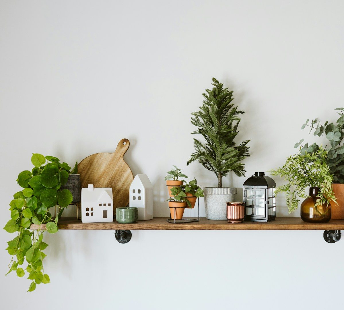 étagère intérieure décorative Étagère intérieure avec des plantes en pot, des accessoires de cuisine et des décorations.